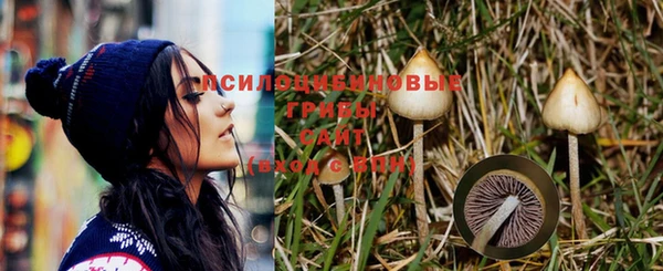 мескалин Арсеньев