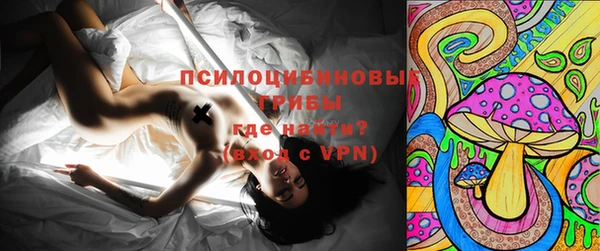 твердый Аркадак