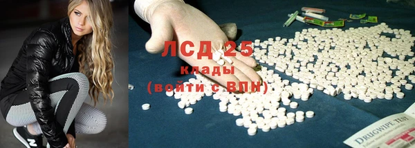твердый Аркадак